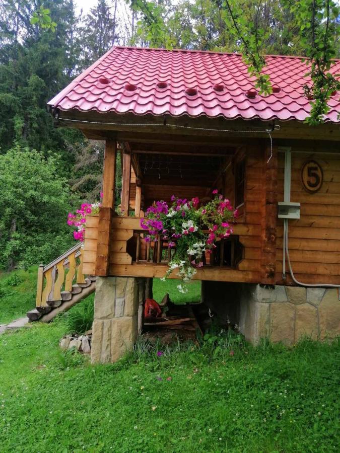 Микулин Хутірець Mîkulîciîn Exterior foto